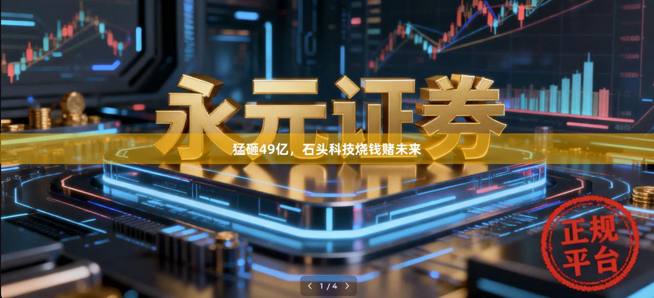 猛砸49亿，石头科技烧钱赌未来