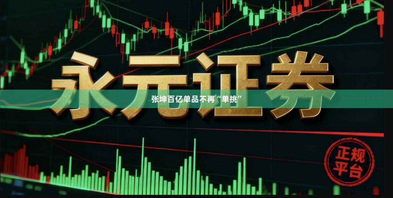 张坤百亿单品不再“单挑”