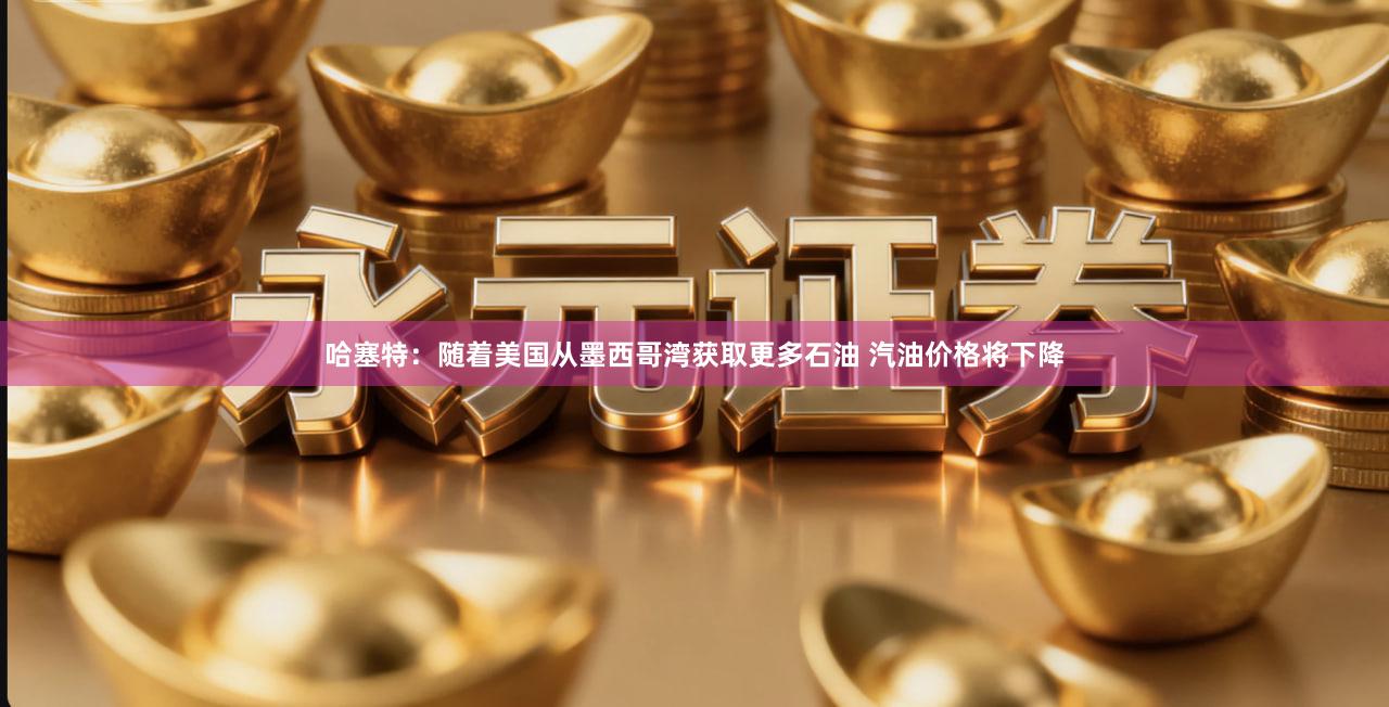 哈塞特：随着美国从墨西哥湾获取更多石油 汽油价格将下降