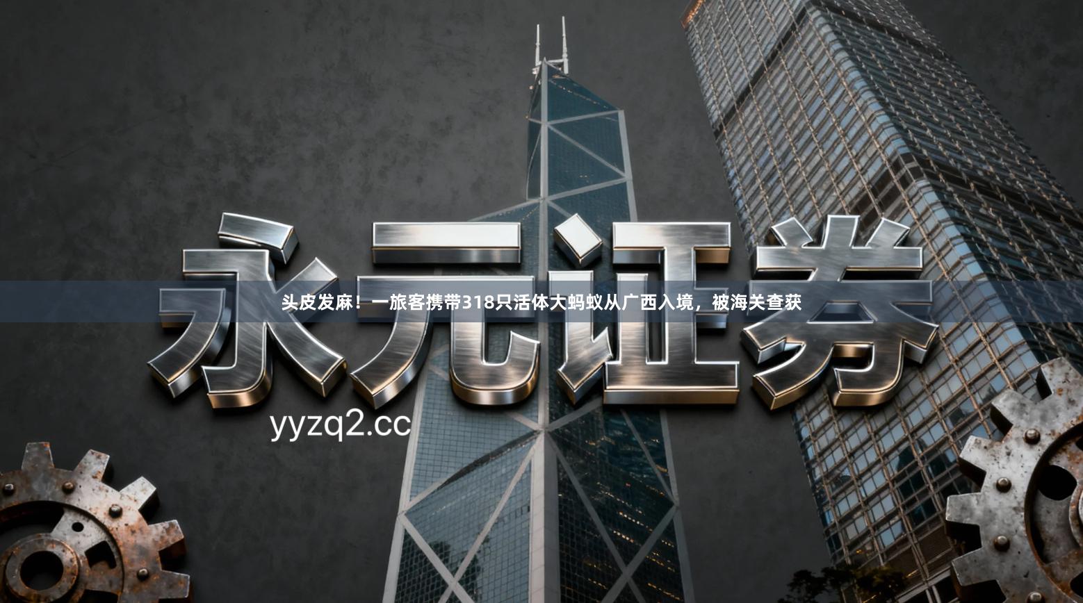 头皮发麻！一旅客携带318只活体大蚂蚁从广西入境，被海关查获